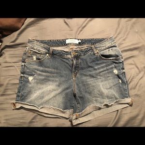 Torrid distressed shorts